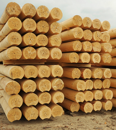 Wood solutions for the FUTURE